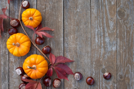 pumpkins, chestnuts, leaves and wooden groundの写真素材