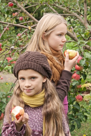 Two girls eating an appleの写真素材