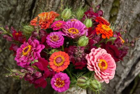 bouquet with zinniasの写真素材