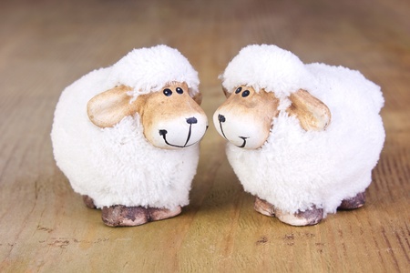 two sheep on wooden groundの写真素材