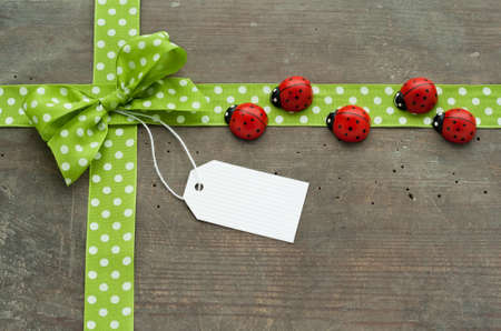 Dotted green loop, lady bugs and label on wooden groundの写真素材