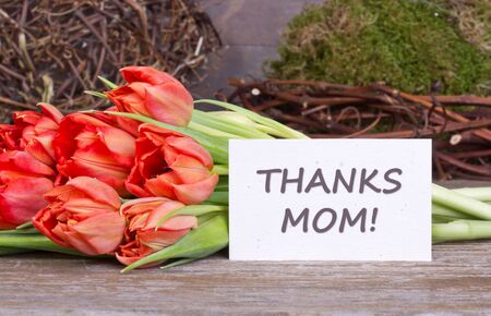 red tulips and card with lettering thanks momの写真素材