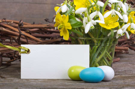 early blossoms, easter eggs  and white card