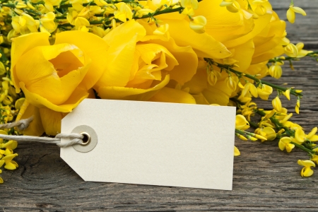 yellow tulips, gorse and label on wooden groundの写真素材