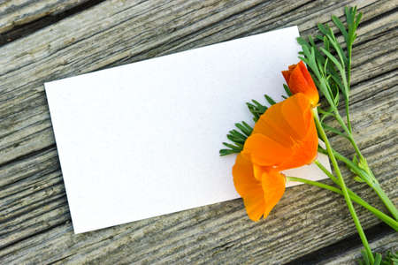 poppy and white card on wooden table