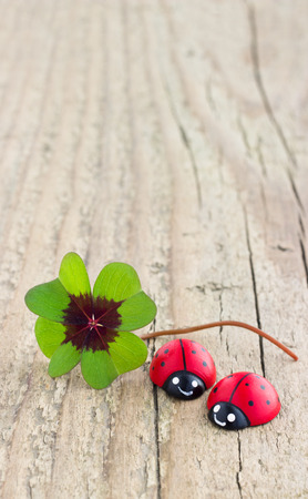 Leafed clover and ladybugs on wooden boardの写真素材