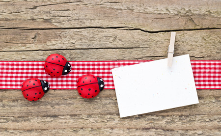 ladybugs and card on wooden boardの写真素材