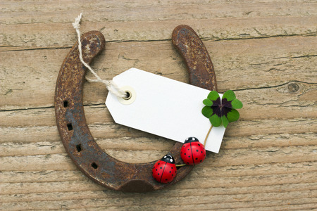 horseshoe with ladybugs and lucky cloverの写真素材