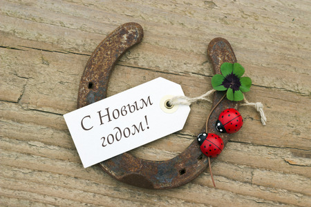 New Years Card with horseshoe, Leafed clover and ladybugsの写真素材