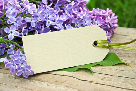lilac with label on wooden boardの写真素材