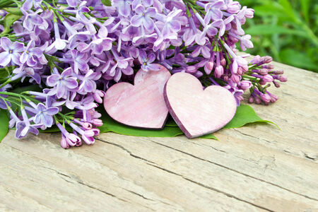 lilac with two hearts on wooden boardの写真素材