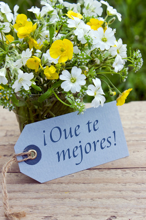 spanish get well card with wildflowersの写真素材