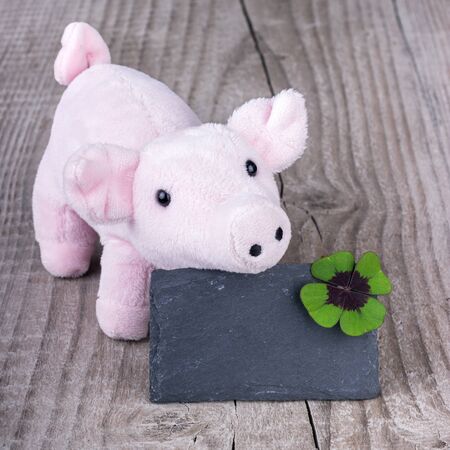 Lucky pig with cloverleafの写真素材