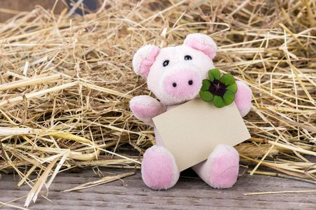 Lucky pig with cloverleaf and cardの写真素材