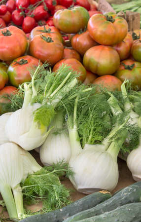 Display with fresh tomatoes and fennelの写真素材
