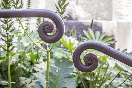 Detail of a banister on the Capitol Hill in Rome with acanthus leaves in the backgroundの写真素材