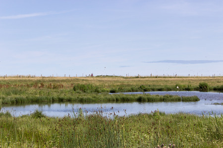 A Landscape with Bird Sanctuary