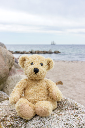 A teddy bear sits on a stone on the Baltic beachの写真素材