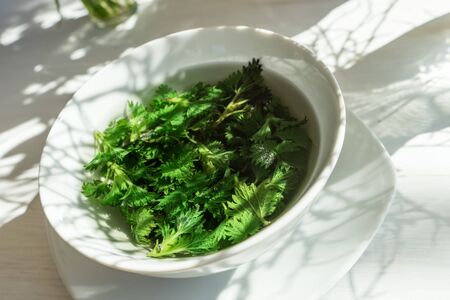 A white bowl with fresh nettle teaの写真素材