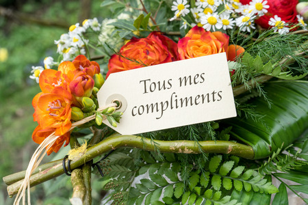 French greeting card with red flowersの写真素材