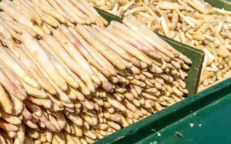 Fresh, raw, white asparagusの写真素材