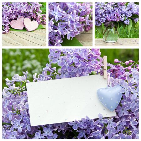 Collage with violet lilac and heartの写真素材