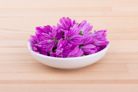 Pink common mallow flowers