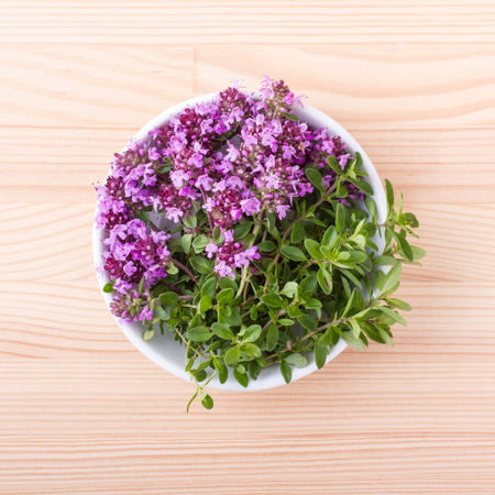 Porcelain bowl with flowering wild thymeの写真素材