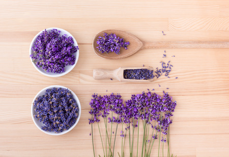 Porcelain bowls with lavender and lavenderの写真素材
