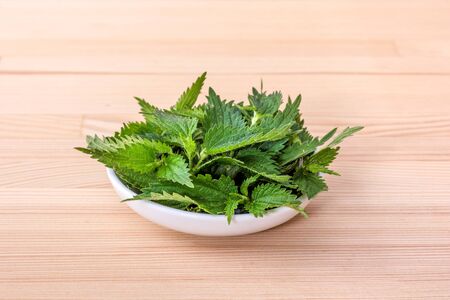 Bowl with fresh nice leaves