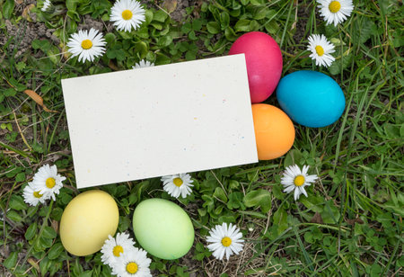greeting card with easter eggs and copy space