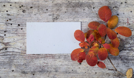 Autumn leaves lie next to a greeting card with text space on a wooden background