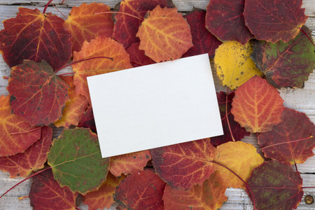 Card with copy space and colorful black poplar leavesの写真素材