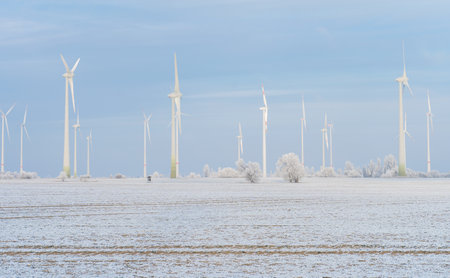 Field with wind turbines in winter
