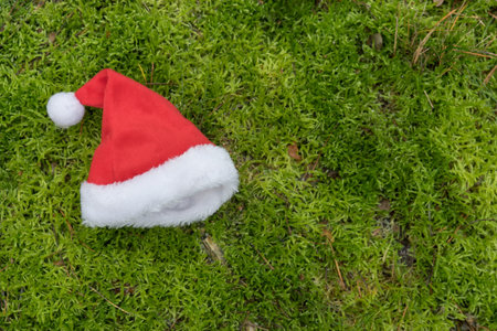 Santa hat on a green moss surface with copy spaceの写真素材