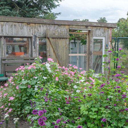 Flowers in a garden with a wooden house in the background.の写真素材