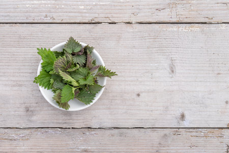 White bowl with fresh nettle shoots on a wooden background with copy spaceの写真素材