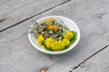 White bowl with fresh and dried coltsfoot on a wooden backgroundの写真素材