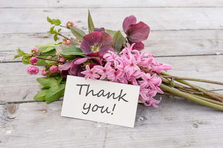 greeting card with bouquet of pink hyacinths, Christmas roses and card with English text: Thank youの写真素材
