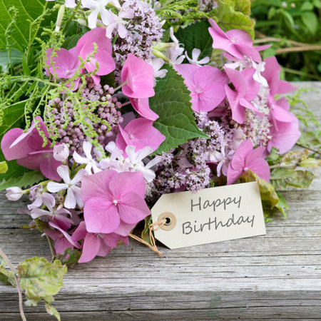 Greeting card with pink hydrangeas, soapwort, oregano and text: Happy Birthdayの写真素材