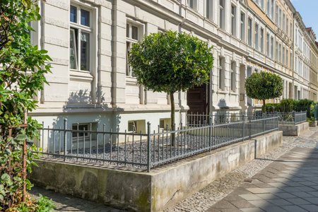 Front yard with metal fence, pebbles and cherry laurel tree in summerの写真素材