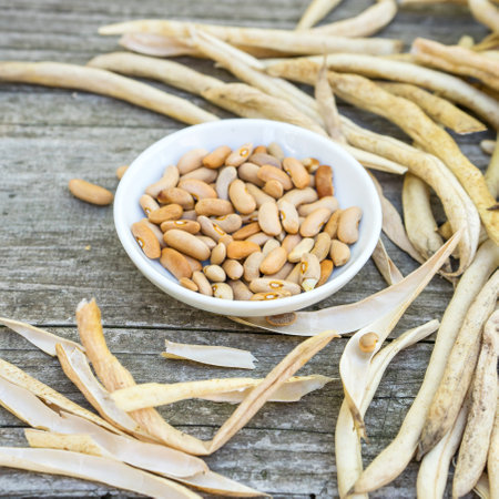 White bowl with dried bean seeds and pods on a wooden backgroundの写真素材