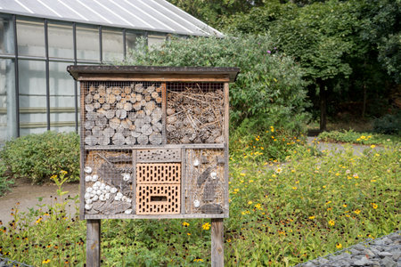 Natural garden with flower beds, greenhouse and insect hotelの写真素材