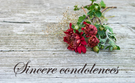 Condolence card with dark red chrysanthemums and English text: Sincere condolencesの写真素材