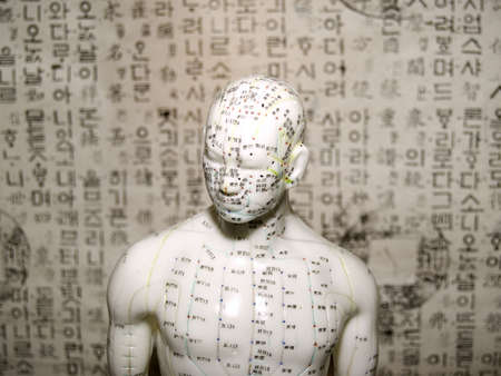 The Eastern or Asian acupuncture medical treatment is said to prevent or treat a variety of medical ailments, including pain.  Here is the upper chest and head of a doll used in training and demonstratoinの写真素材