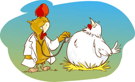 Vector illustration of a doctor and patient cock chickenのイラスト素材