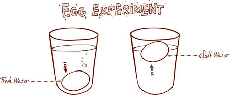 Egg floating in glass of water (sink or float egg freshness test)のイラスト素材