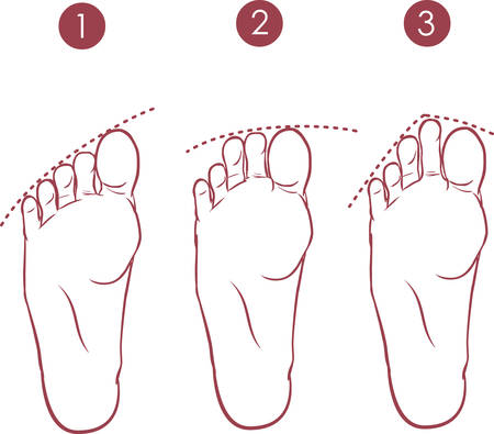 vector illustration of a form of toesのイラスト素材