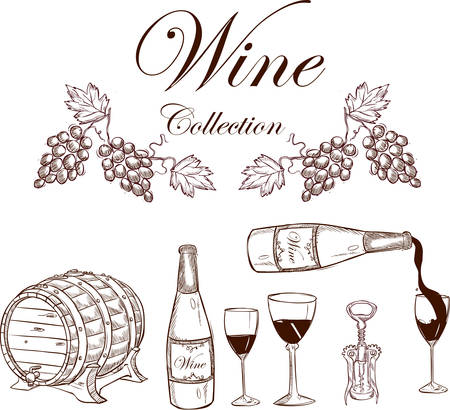 vector illustration of a wine collectionのイラスト素材