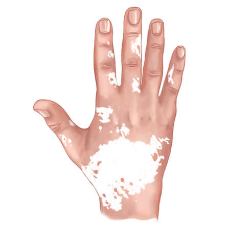 white backround digital illustration Human skin and hair structureの写真素材